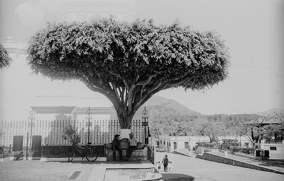 20 Mónica Minondo - Kodak TMAX 400 por Arca Film Lab (Febrero 2025) - Rollo 0742