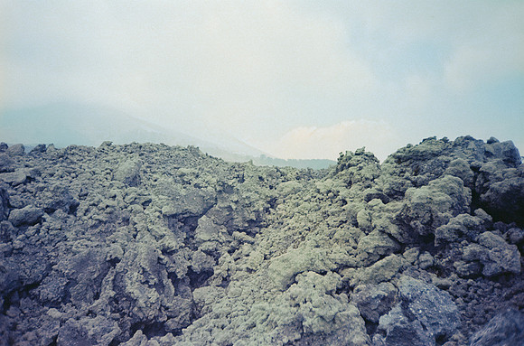 13 José Vásquez - Kodak Gold 200 por Arca Film Lab (Enero 2025) - Rollo 0668