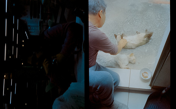 20 David Rosales - Cinestill 800T por Arca Film Lab (Agosto 2024) - Rollo 0293